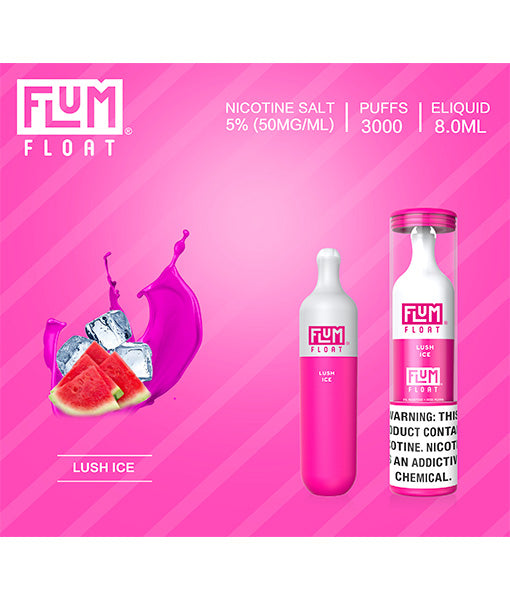 FLUM FLOAT DISPOSABLE - 3000 PUFFS