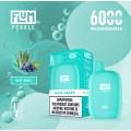 FLUM PEBBLE  DISPOSABLE - 6000 PUFFS