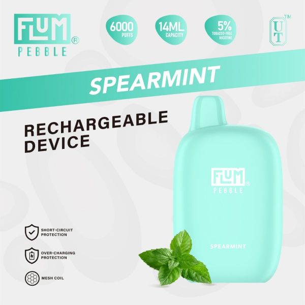 FLUM PEBBLE  DISPOSABLE - 6000 PUFFS