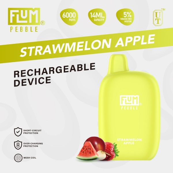 Charging Flum Pebble FLUM PEBBLE DISPOSABLE Charging Flum Pebble FLUM PEBBLE DISPOSABLE